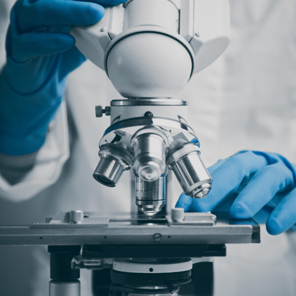 Close up of examining of test sample under the microscope in laboratory.